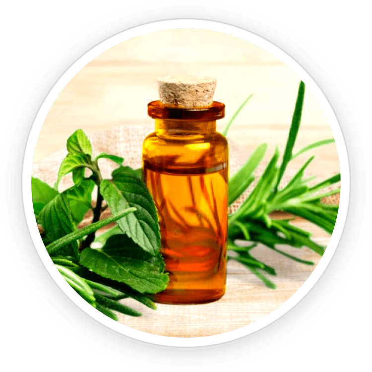 Tea Tree Oil image