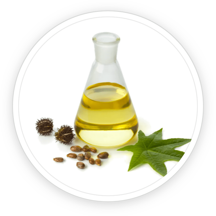 Undecylenic Acid image